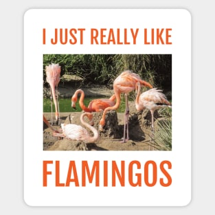 I Just Really Like Flamingos Magnet